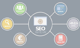 惠州网站SEO 优化  推广